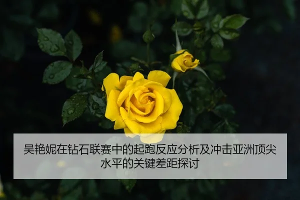 吴艳妮在钻石联赛中的起跑反应分析及冲击亚洲顶尖水平的关键差距探讨